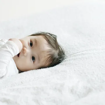 天博体育平台资深技术支持与服务专家